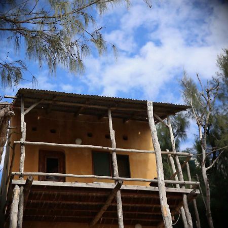 Tree House Cottage, Ocean View Tofo Ngoại thất bức ảnh