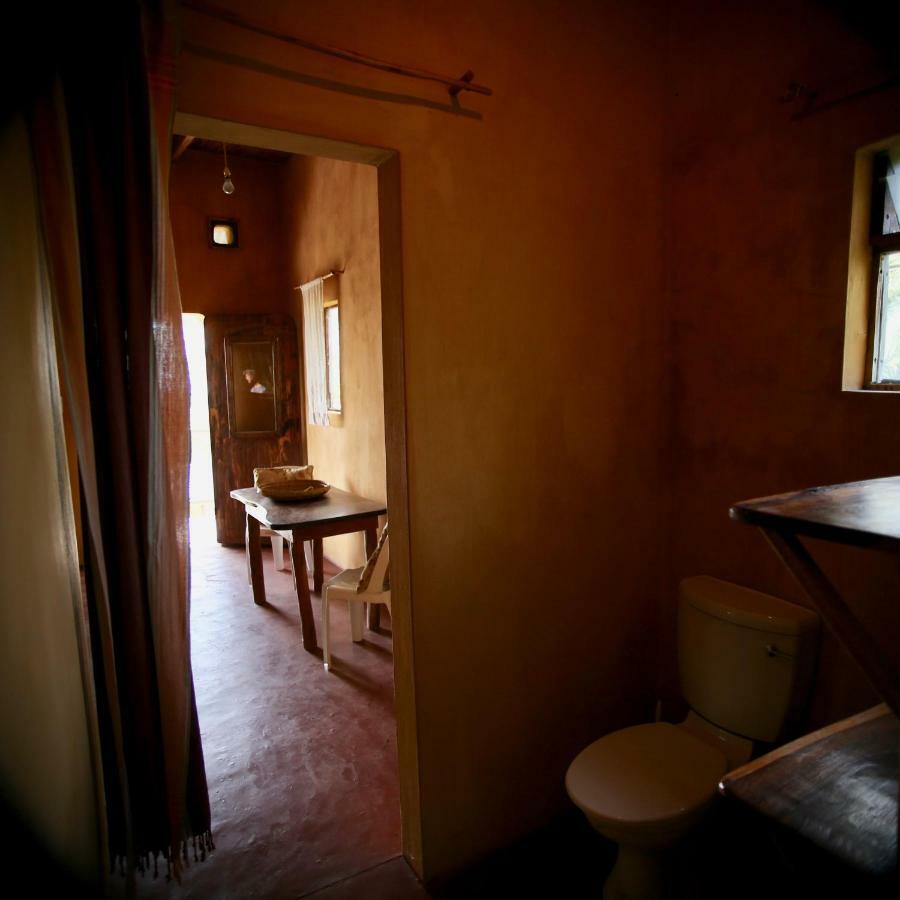 Tree House Cottage, Ocean View Tofo Ngoại thất bức ảnh
