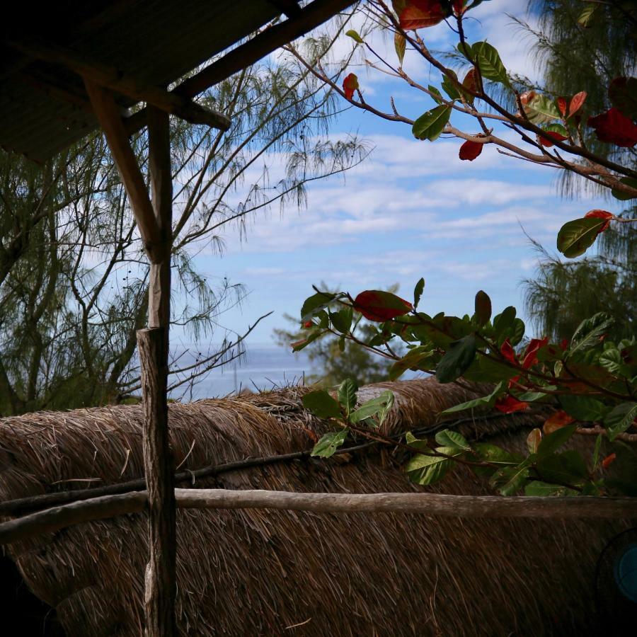 Tree House Cottage, Ocean View Tofo Ngoại thất bức ảnh